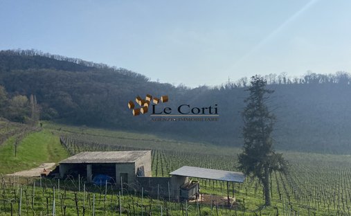 Land in Sarego, Veneto, Italy 1
