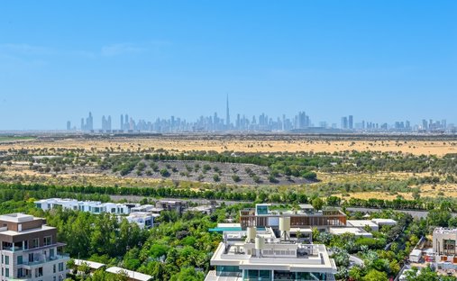 Penthouse in Wadi Al Safa 3, Wadi Al Safa, Dubai 1