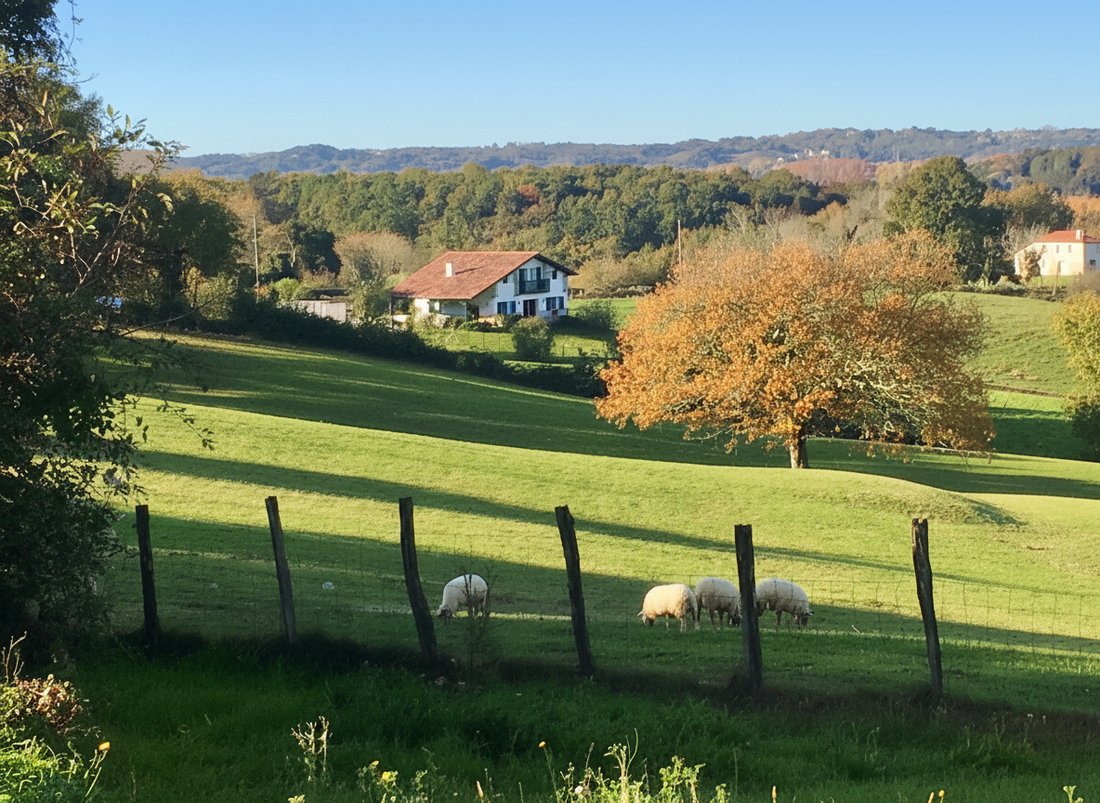 Villa in Briscous, Nouvelle-Aquitaine, France 1 - 17983351