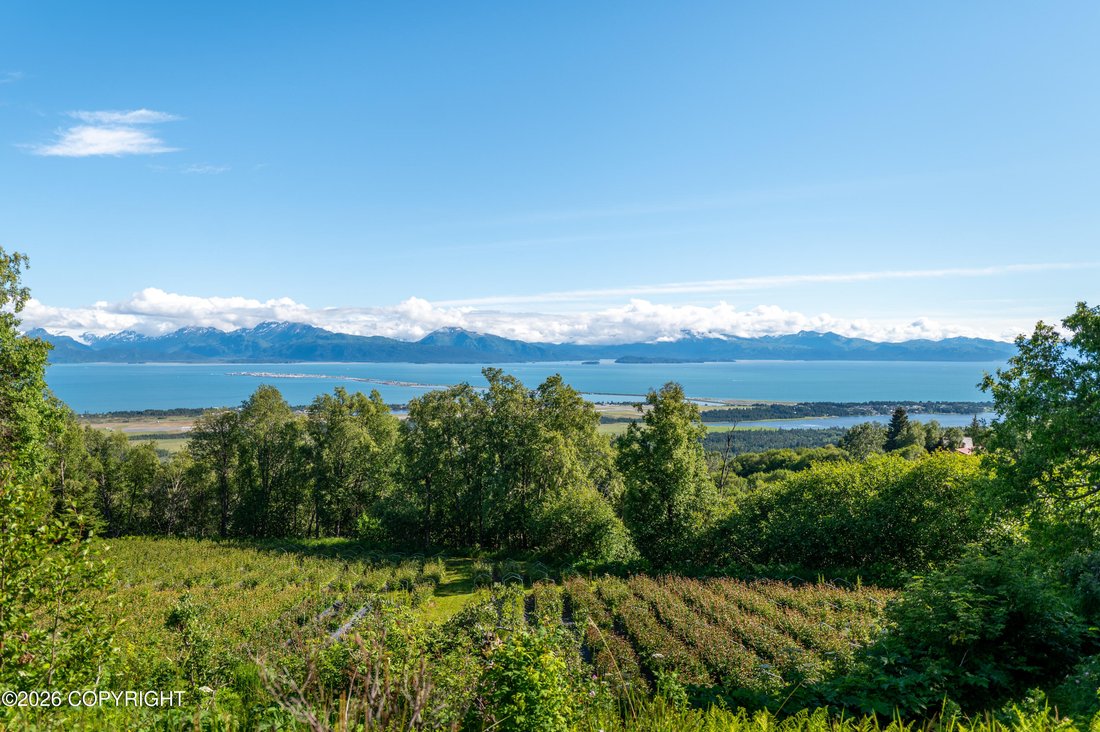 House in Homer, Alaska, United States 4 - 18484580
