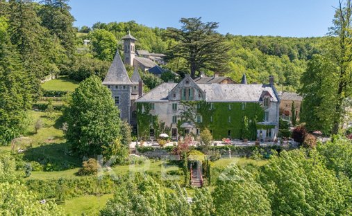 Castle in Lacaze, Occitania, France 1