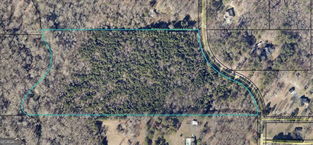 Land in Sharpsburg, Georgia, United States 4 - 18484600