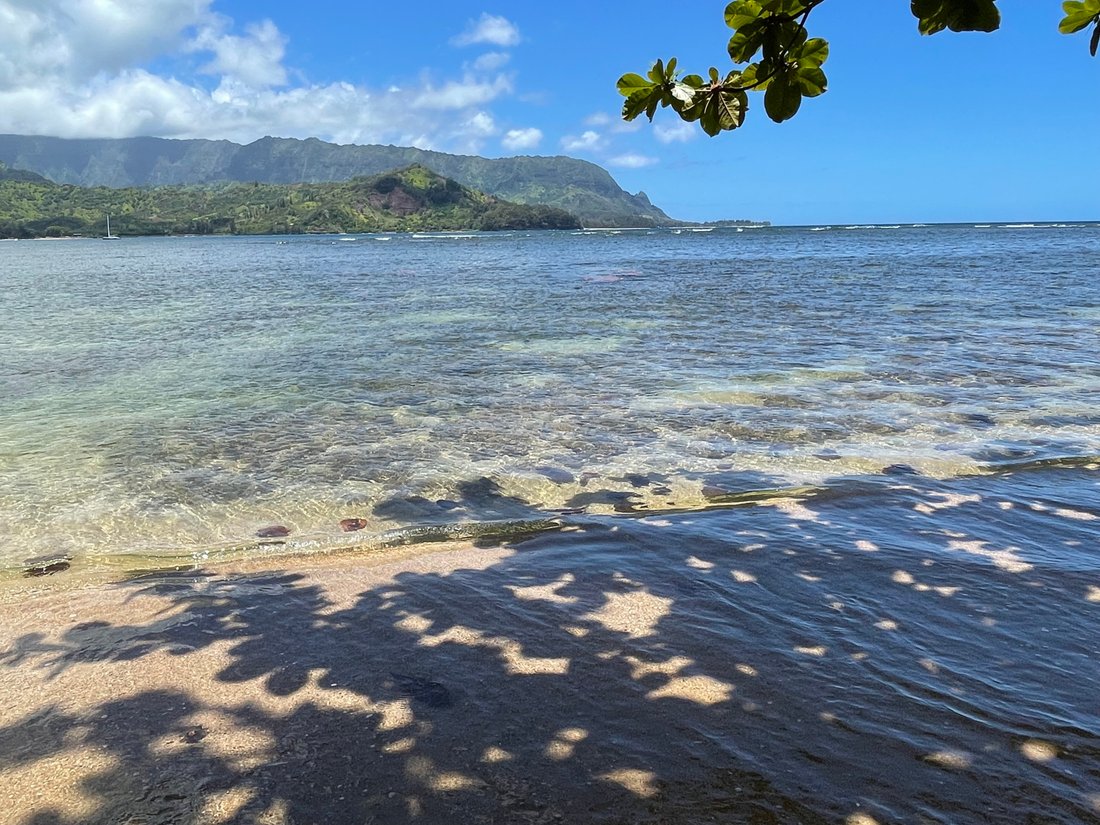 Condominio a Princeville, Hawaii, Stati Uniti 4 - 18231793