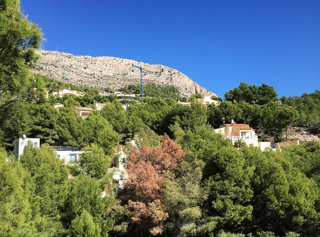 Land in Zona de Mascarat, Valencian Community, Spain 4 - 18486821