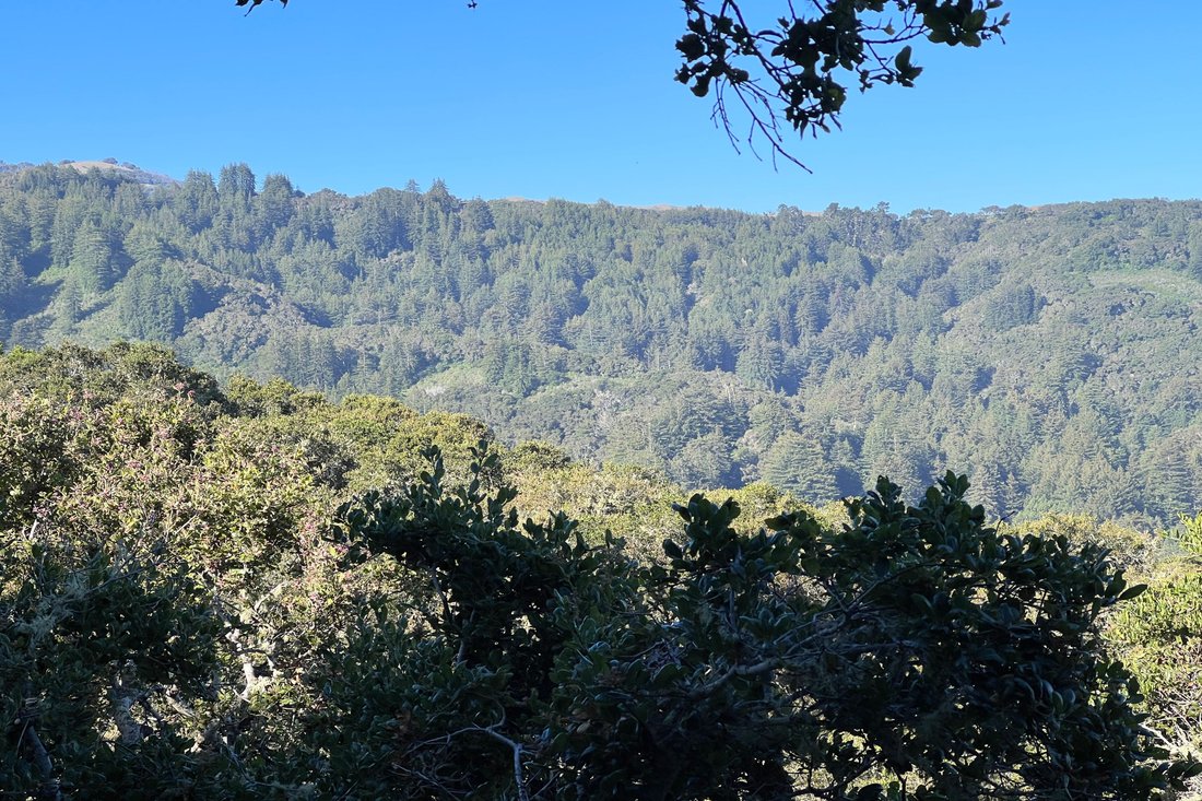 Land in Carmel-by-the-Sea, California, United States 5 - 18487786