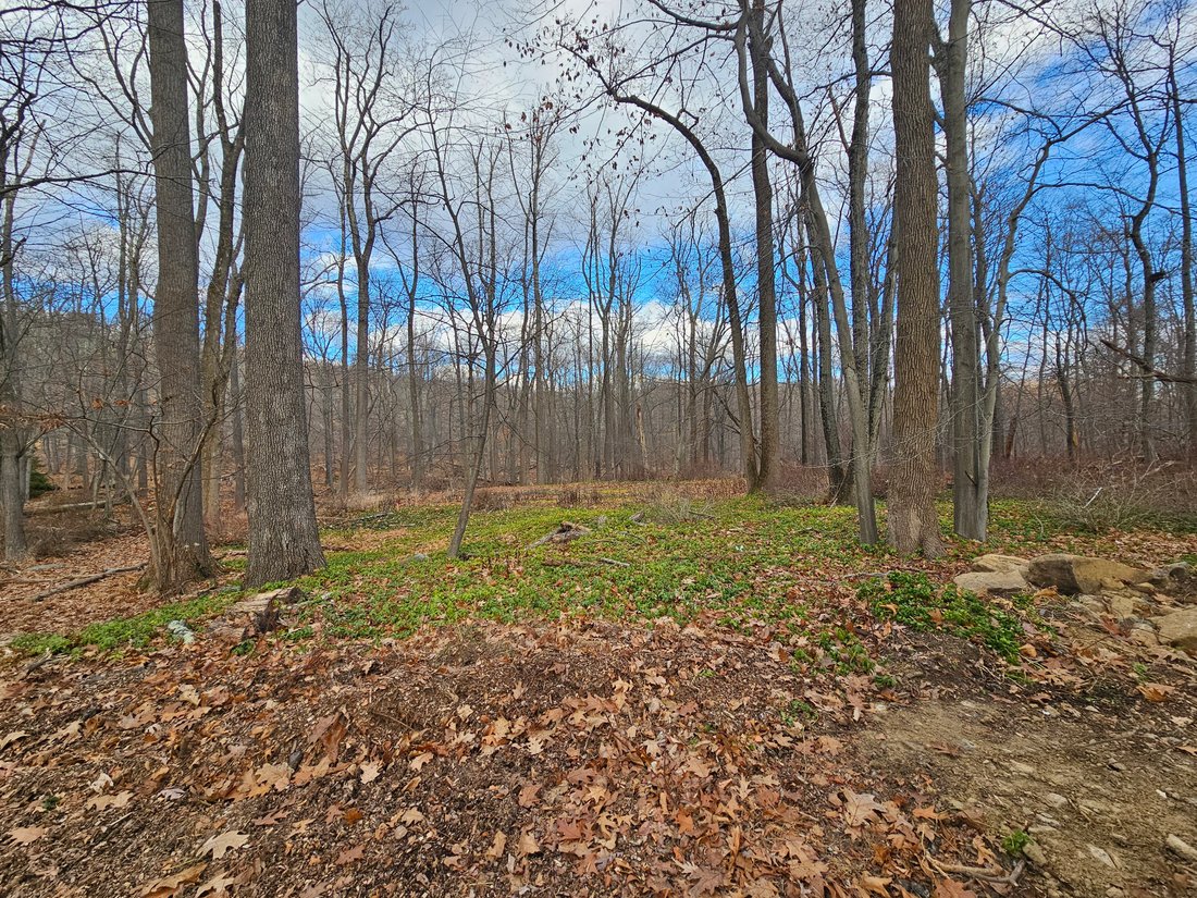 Land in Morris Township, New Jersey, United States 5 - 18484788