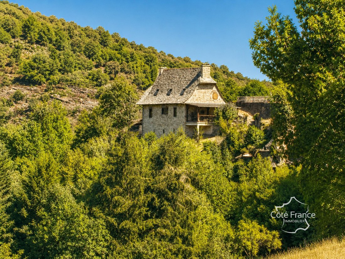 House in Cassaniouze, Auvergne-Rhône-Alpes, France 2 - 18483758