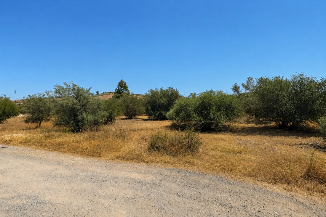 Land in Palagonia, Sicily, Italy 5 - 16179501