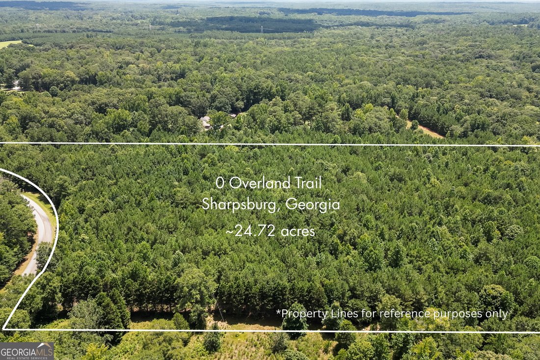 Land in Sharpsburg, Georgia, United States 3 - 18484600
