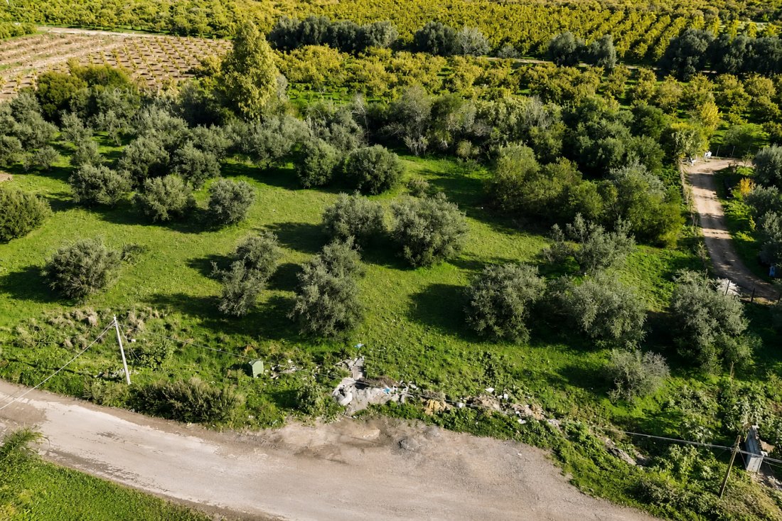 Land in Palagonia, Sicily, Italy 3 - 16179501