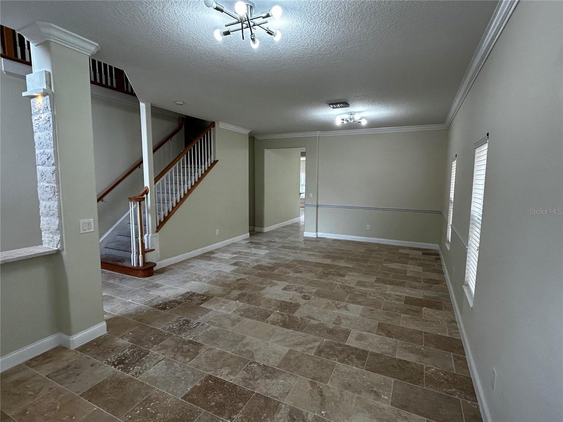 House in Orlando, Florida, United States 5 - 18485606