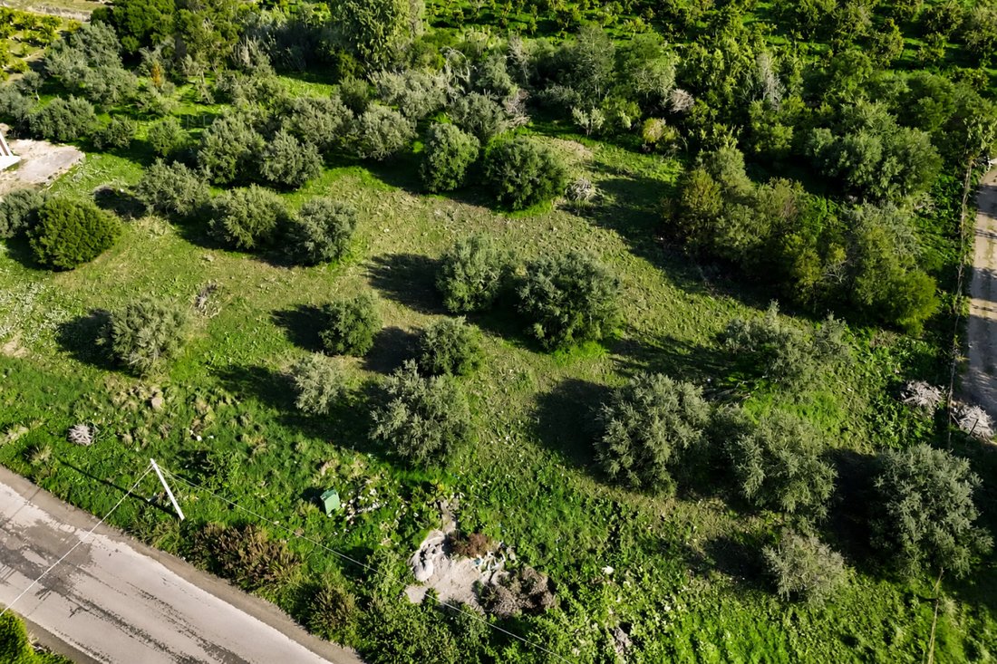 Land in Palagonia, Sicily, Italy 2 - 16179501