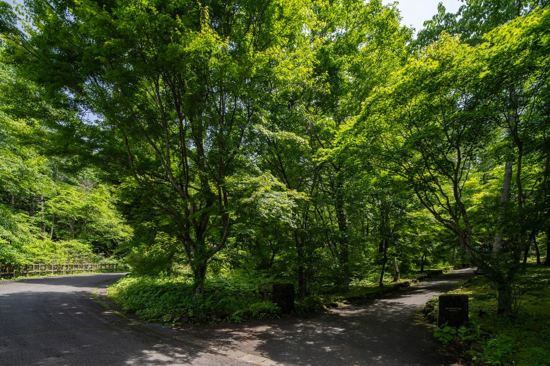 Land in Karuizawa, Nagano, Japan 3 - 18487615