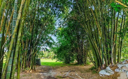 Land in Southwest Ranches, Florida, United States 1