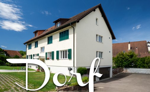 Wohnung in Dorf, Zürich, Schweiz 1