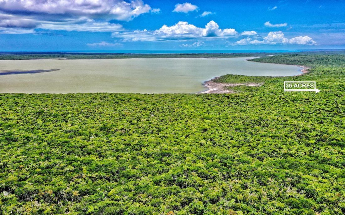 Land in Port Howe, Cat Island, The Bahamas 4 - 18483031