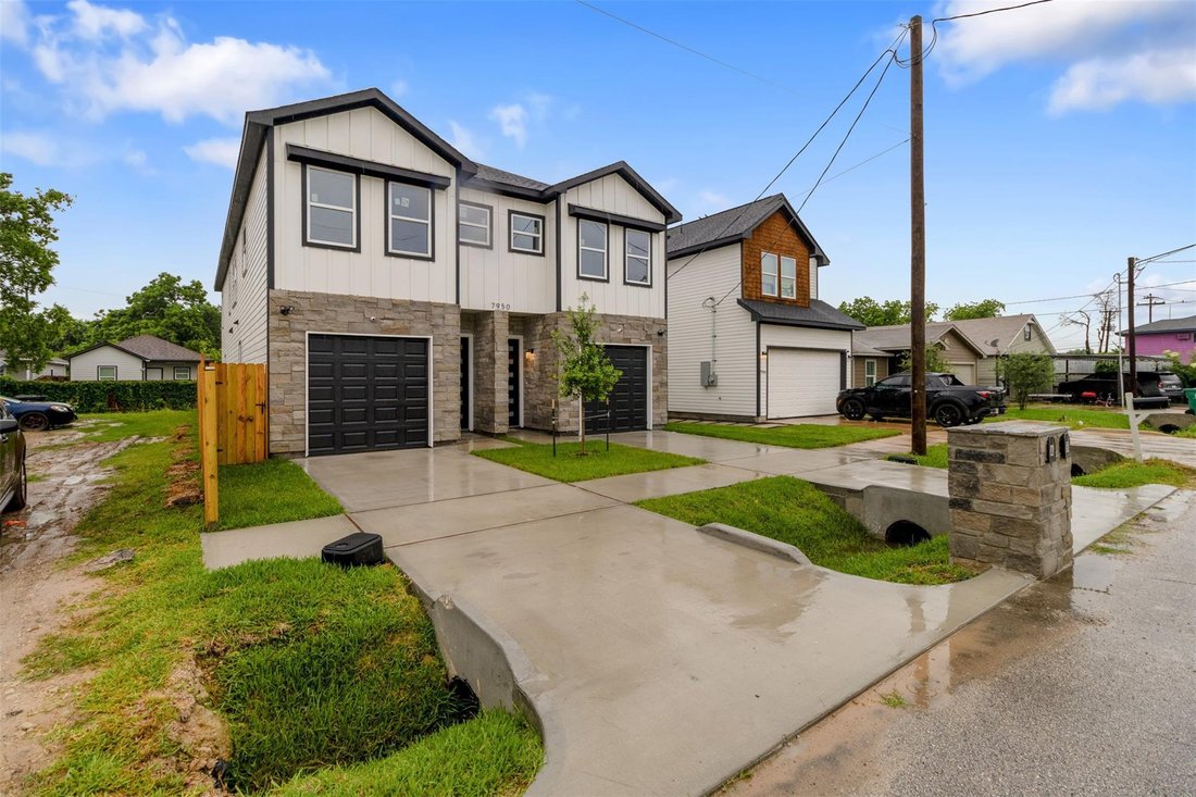 Houston, Texas, United States 2 - 18486253
