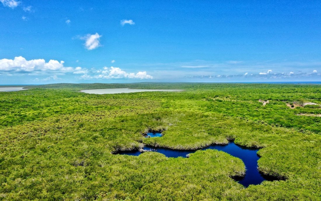 Land in Port Howe, Cat Island, The Bahamas 3 - 18483031