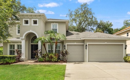 House in Tampa, Florida, United States 1