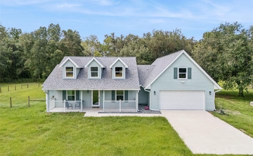House in Webster, Florida, United States 1