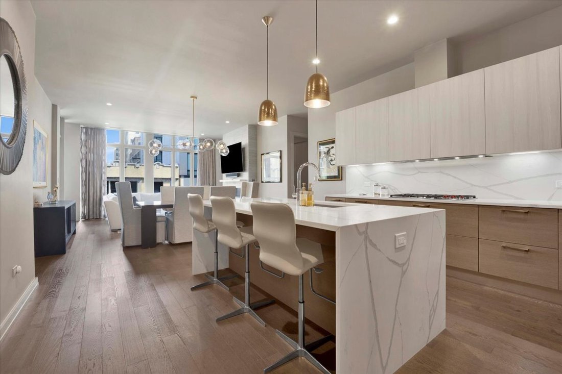 Condo in Chicago, Illinois, United States 3 - 18486017