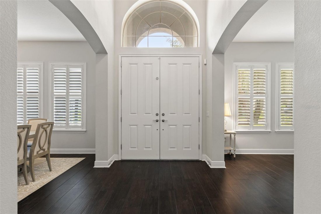 House in Tampa, Florida, United States 3 - 18488209
