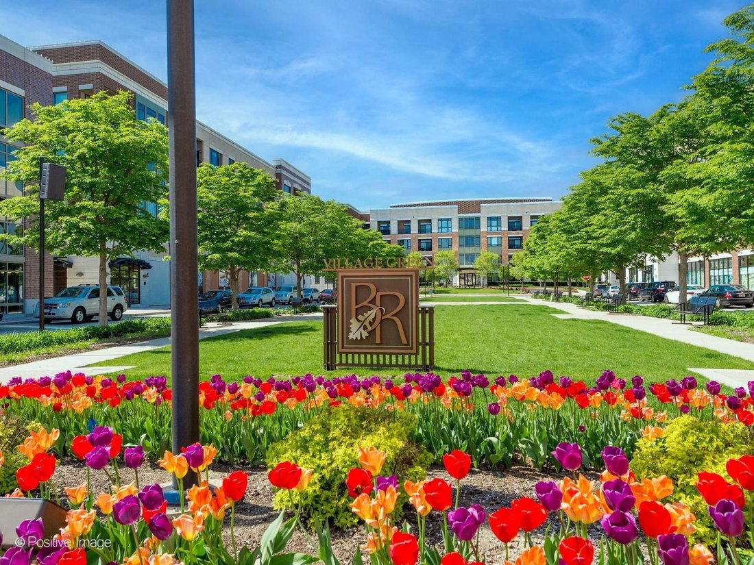 Condo in Burr Ridge, Illinois, United States 1 - 18486005