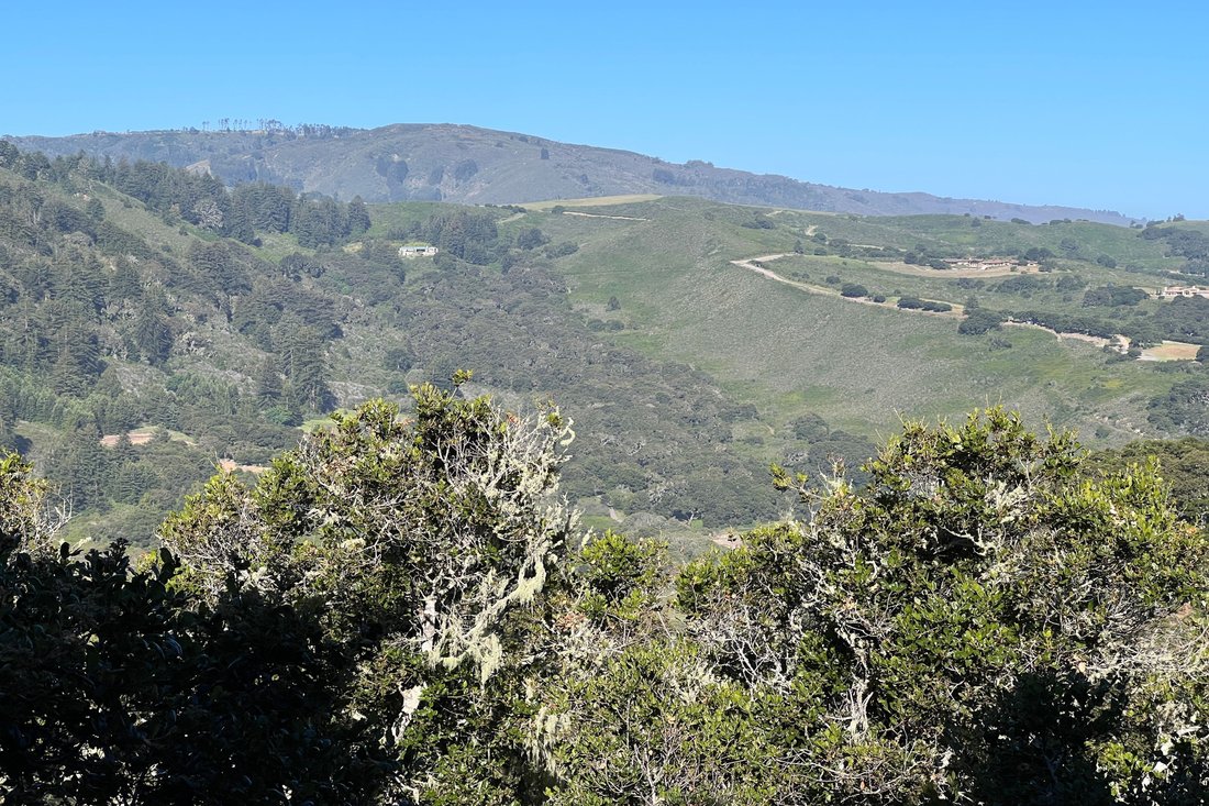 Land in Carmel-by-the-Sea, California, United States 1 - 18487786