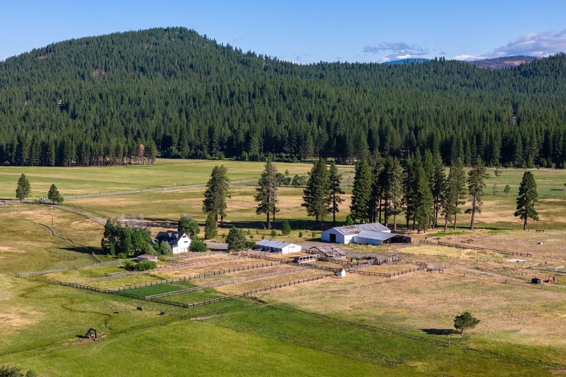 House in Calpine, California, United States 2 - 18484622