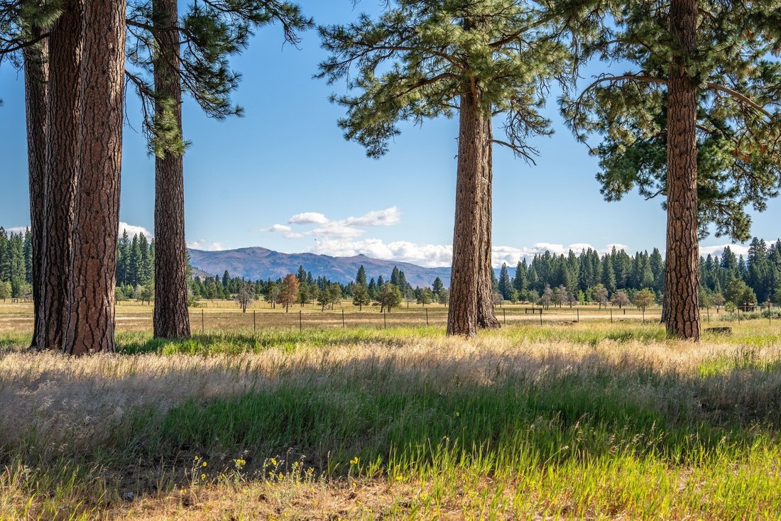 House in Calpine, California, United States 4 - 18484622