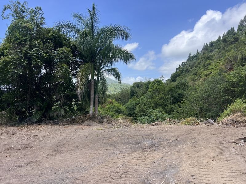 Land in Adjuntas, Adjuntas, Puerto Rico 1 - 18486056