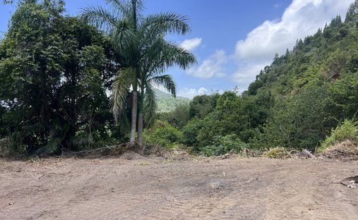Land in Adjuntas, Adjuntas, Puerto Rico 1