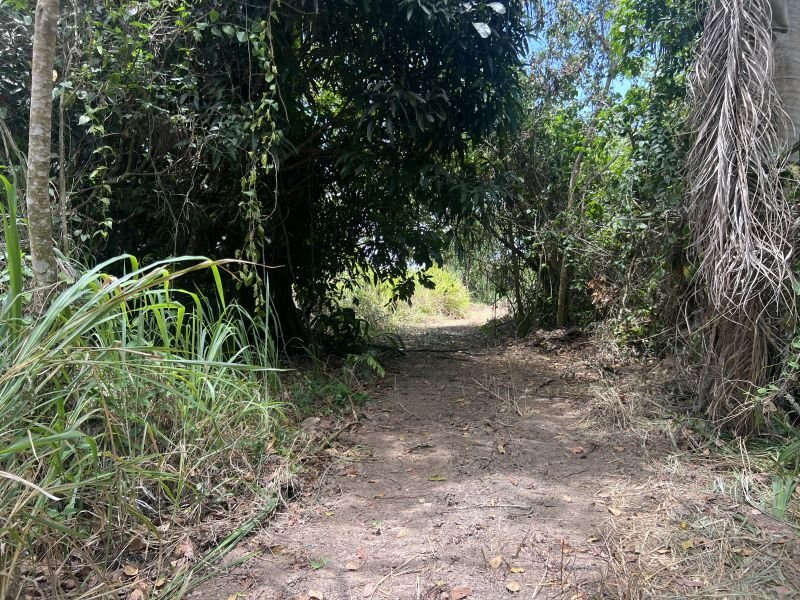 Land in Adjuntas, Adjuntas, Puerto Rico 5 - 18486056