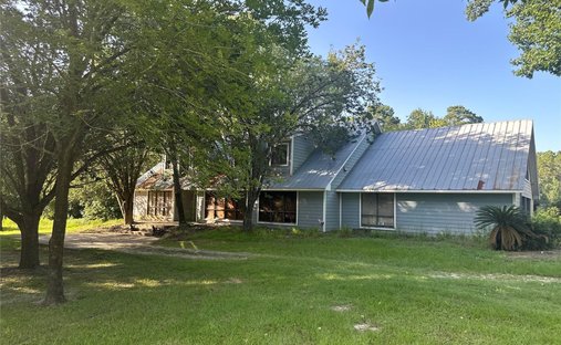 House in Conroe, Texas, United States 1