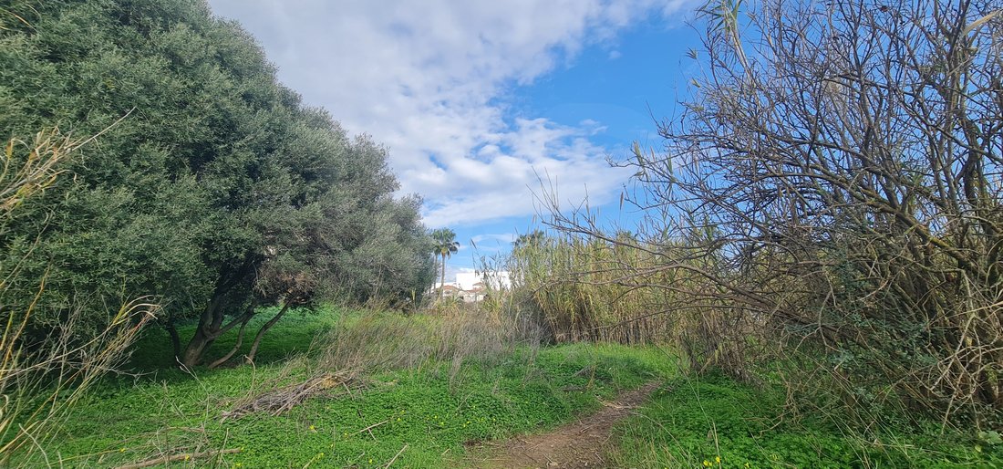 Land in Mijas, Andalusia, Spain 3 - 16964987