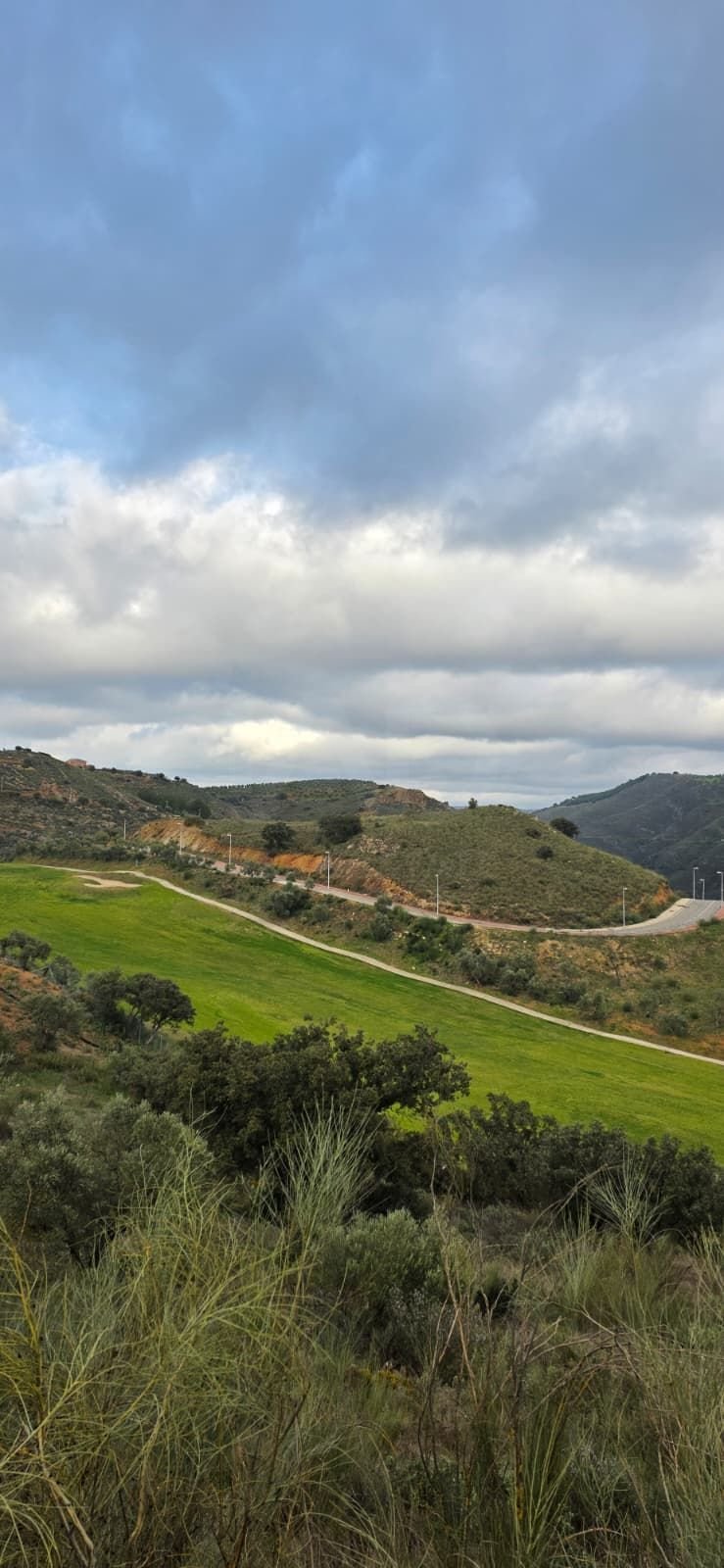 Land in Antequera, Andalusia, Spain 5 - 17573668