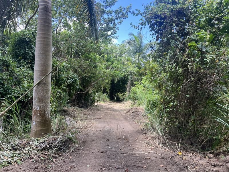 Land in Adjuntas, Adjuntas, Puerto Rico 4 - 18486056