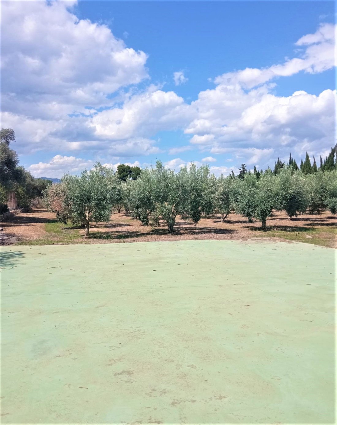 Townhouse en Móra d'Ebre, Cataluña, España 4 - 16027563