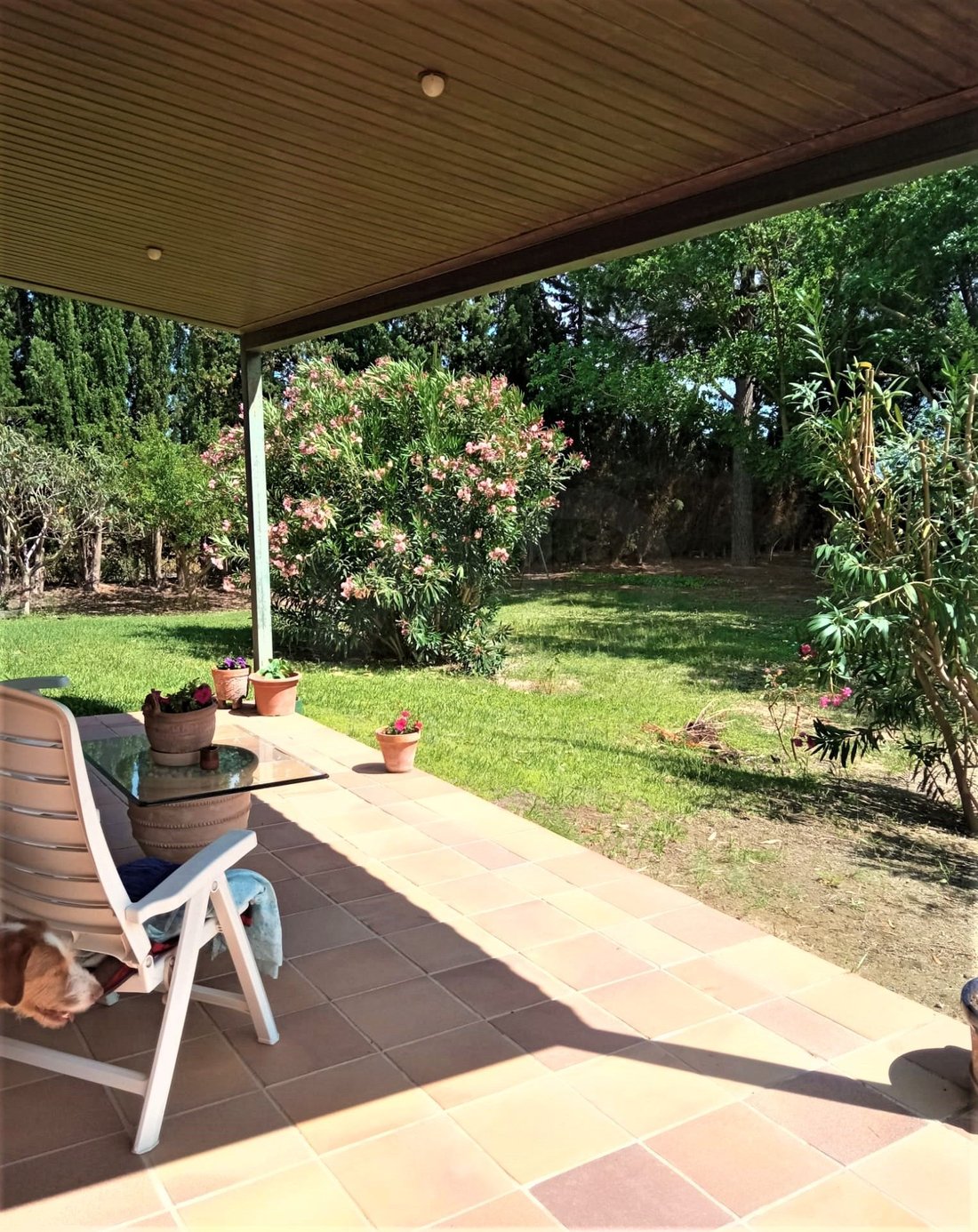 Townhouse en Móra d'Ebre, Cataluña, España 3 - 16027563