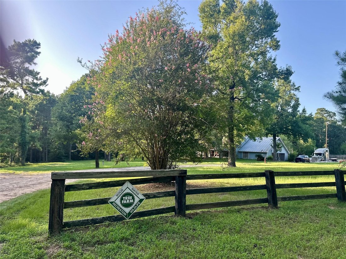 House in Conroe, Texas, United States 2 - 18488124