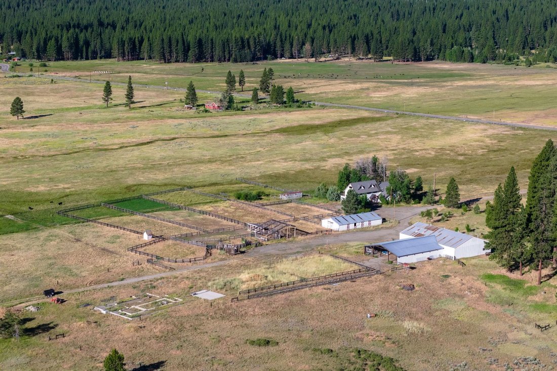 House in Calpine, California, United States 3 - 18484622