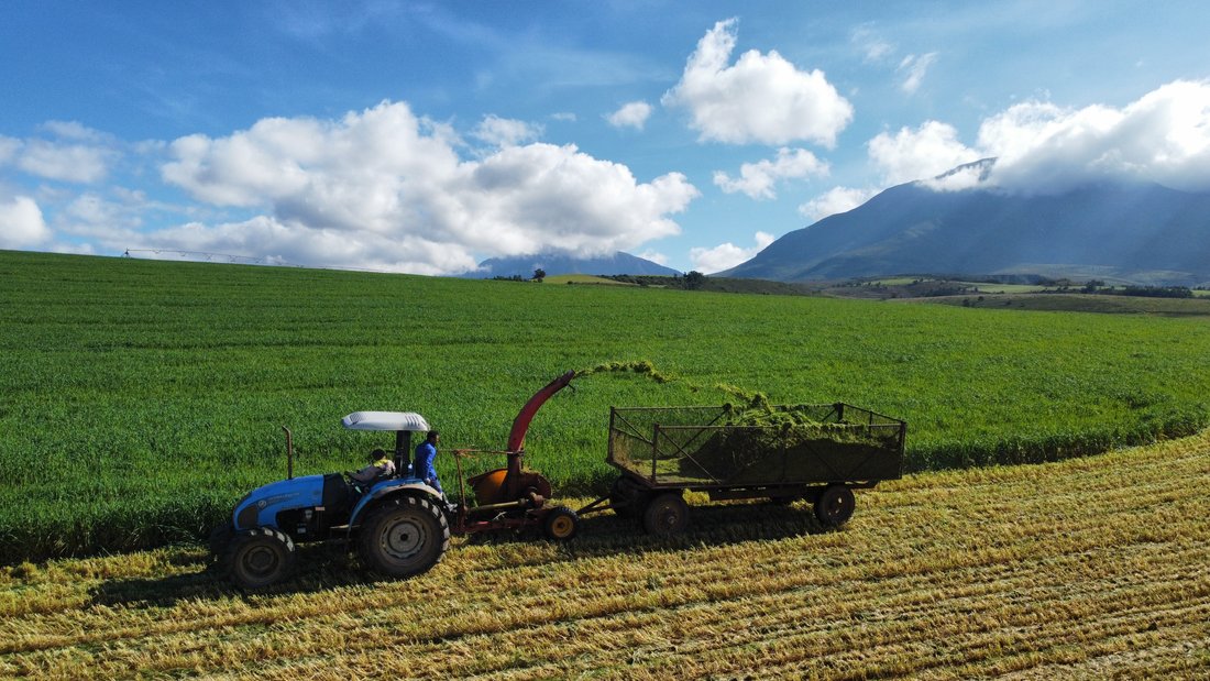 Farm Ranch in Hessequa Local Municipality, Western Cape, South Africa 2 - 17685013