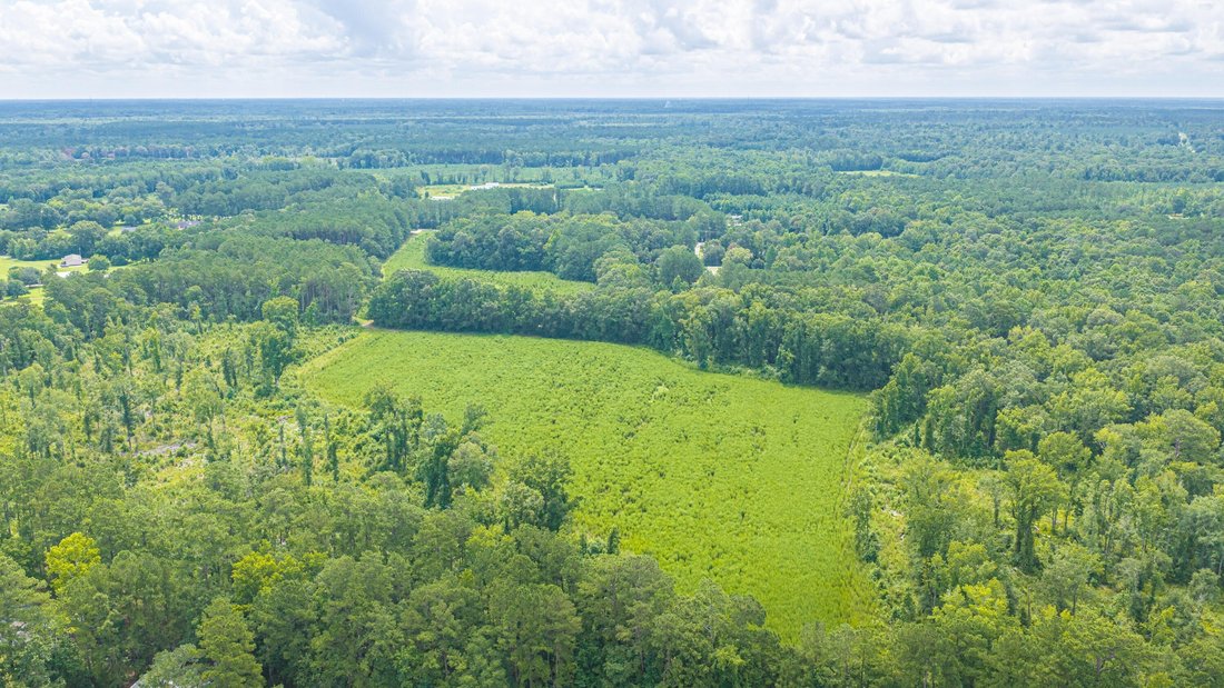 Land in Ridgeville, South Carolina, United States 2 - 18487644