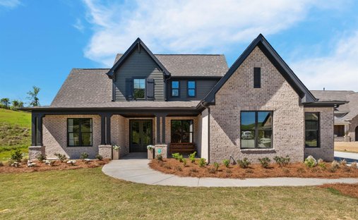 House in Helena, Alabama, United States 1