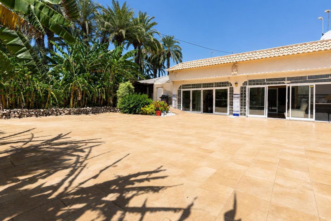 Villa in Elx / Elche, Valencian Community, Spain 5 - 18484072