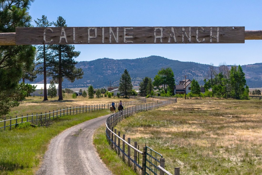 House in Calpine, California, United States 1 - 18484622