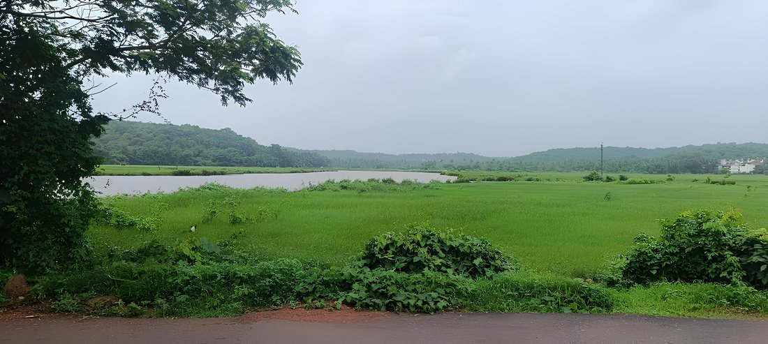 House in Donwaddo, Salvador Do Mundo, Bardez, Goa, India 5 - 18487683