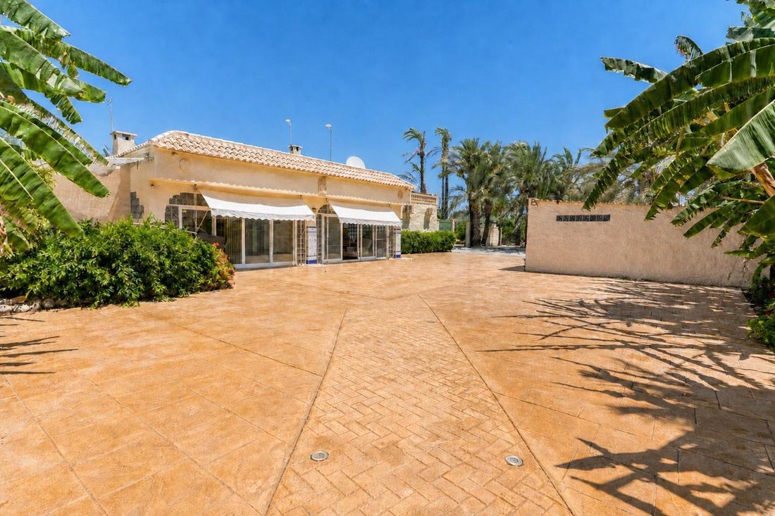 Villa in Elx / Elche, Valencian Community, Spain 1 - 18484072