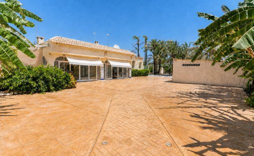 Villa in Elx / Elche, Valencian Community, Spain 1
