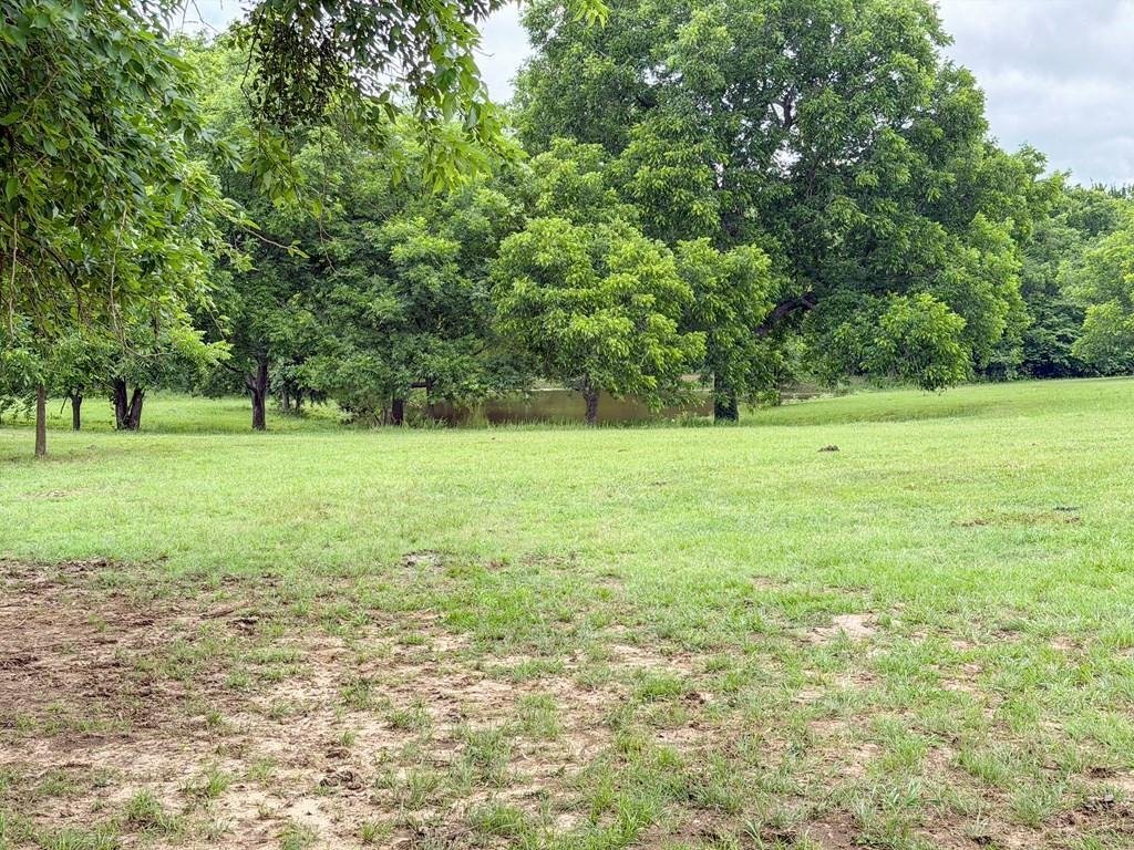Farm Ranch in Lone Oak, Texas, United States 1 - 18486468